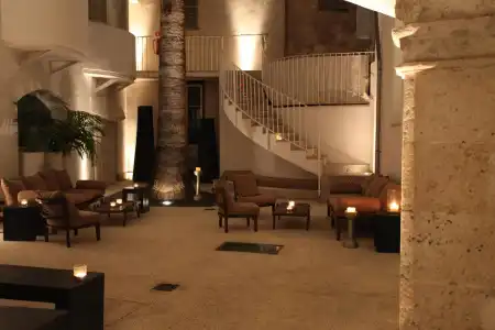 Puro Oasis Urban - 16