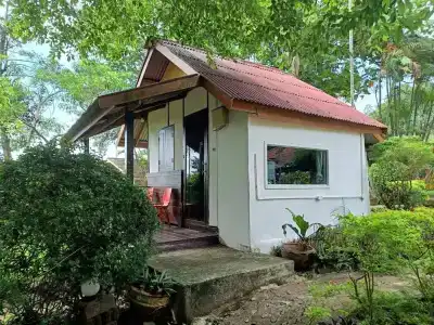Faye Orchid Resort - 186