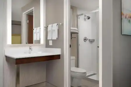 SpringHill Suites by Marriott Boise ParkCenter - 46