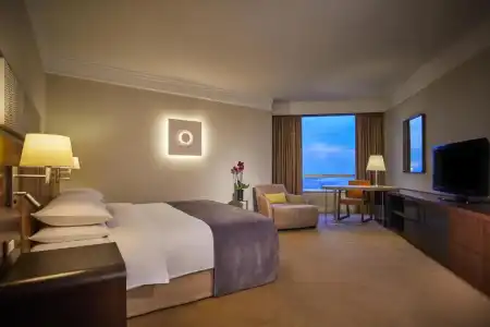 Hyatt Regency - 61