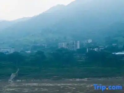 Wuyu (Chongqing Jinyun Mountain, Southwest University) - 41