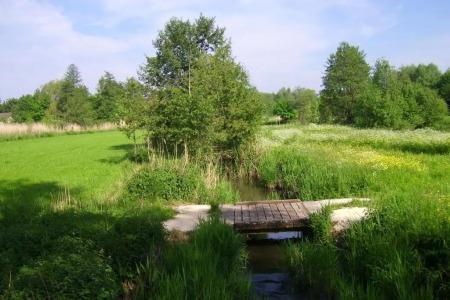 Wagners Greifen-Post - 5