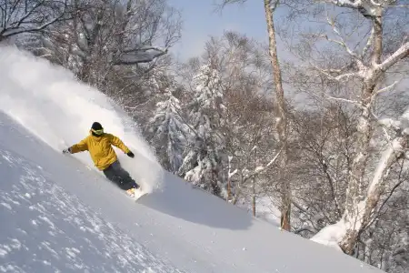 Furano Natulux - 24