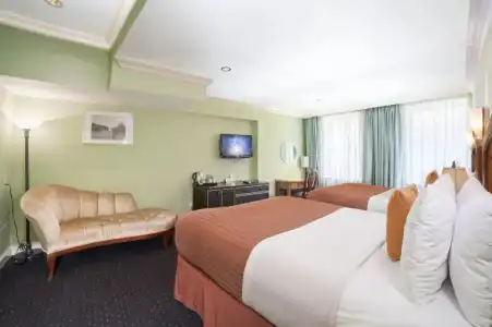 Mulberry - 43