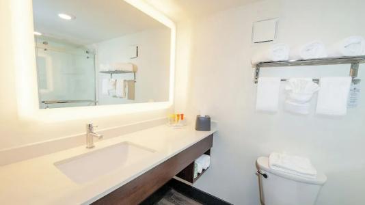 Holiday Inn Resort Panama City Beach by IHG - 59