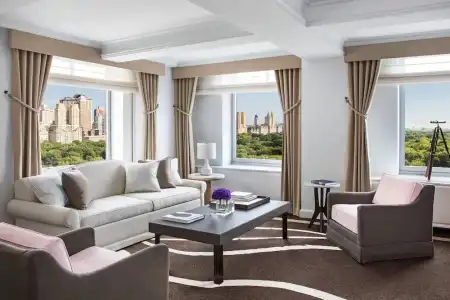 The Ritz-Carlton New York, Central Park - 85