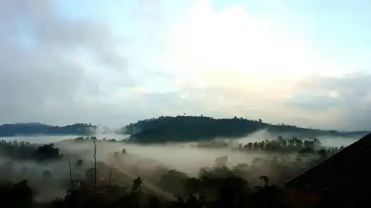 Kularbdoi Resort - 14