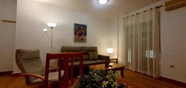 Apartamentos Plaza - 50