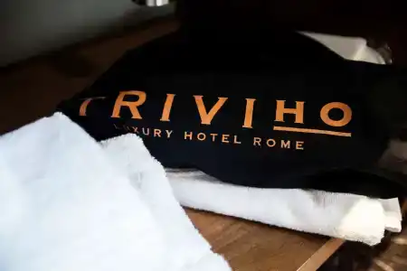 Triviho - 14