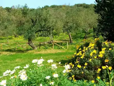 agriturismo i moresani - 50