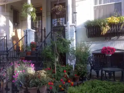 Ledroit Park Renaissance B&B - 7
