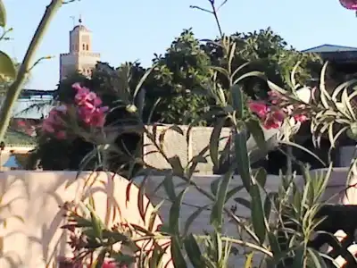 Riad Aloes & Spa - 19