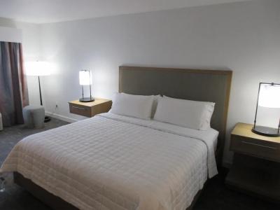 Best Western Premier Houston Downtown/Convention Center - 44