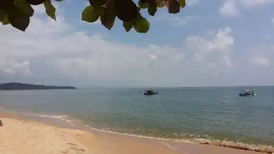 Wild Beach Phu Quoc Resort - 41