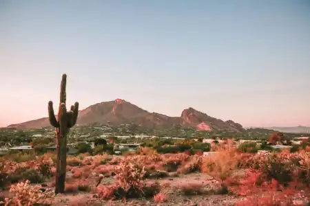 JW Marriott Camelback Inn Scottsdale Resort & Spa - 37