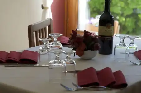 Rosa Serenella - 4
