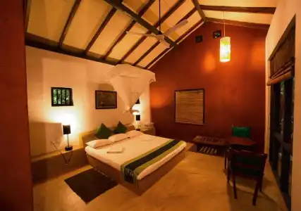 Back of Beyond - Pidurangala - 40
