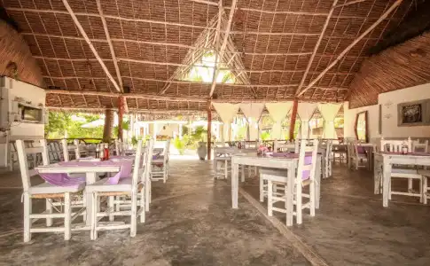 Sahari Zanzibar - 19