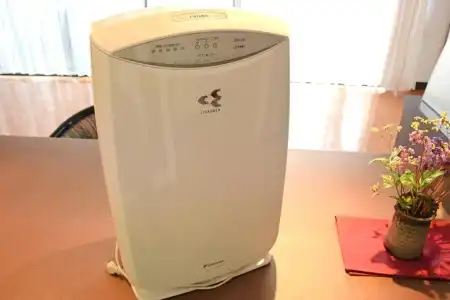 Masunoi - 40