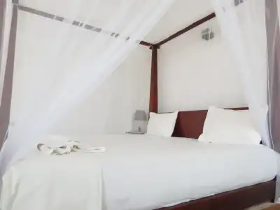Mountain Wave and Surfshop - 2