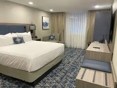 Wyndham DFW Airport - 54