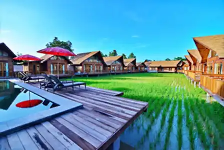 Rice Farm Villa - 10
