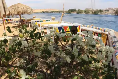 Artika Wadi Kiki - 9