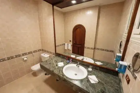 Seti Abu Simbel Lake Resort - 83
