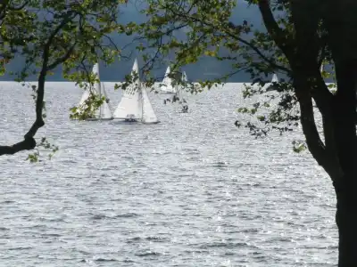 Iris am See - 10