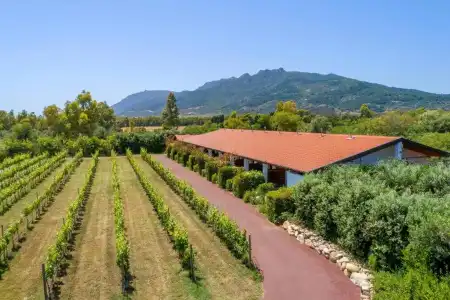Rurale Orti di Nora & SPA - 46