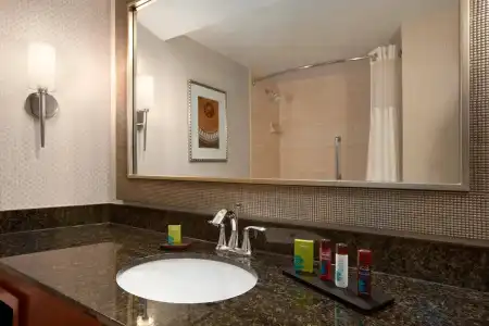Embassy Suites by Hilton Crystal City National Airport - 8