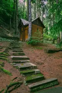 Nunisi Forest & SPA - 12