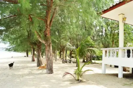 Sangjun On Beach Resort - 22