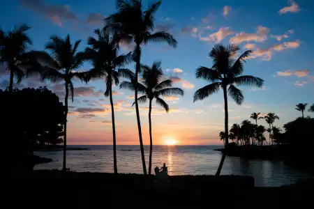 Hilton Waikoloa Village - 42