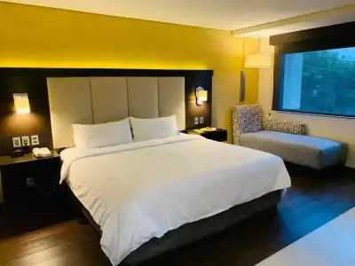 Holiday Inn Express Mexico Basilica by IHG - 63