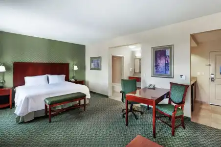 Hampton Inn & Suites El Paso West - 52