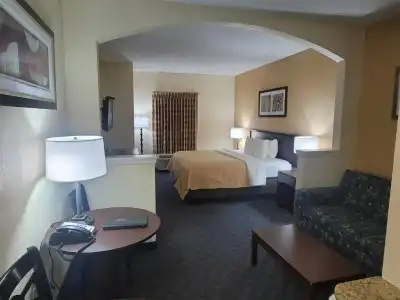 Quality Inn & Suites Irving DFW Airport South - 26