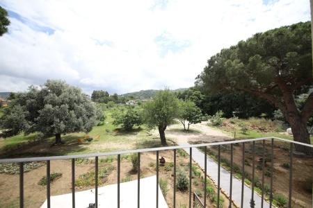 Tenuta Bellelli - 19