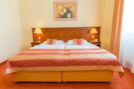 Danubius Health Spa Resort Centrální Lázne - 68