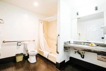 Anaheim Discovery Inn and Suites - 26