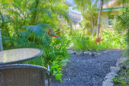 Kohea Kai Maui - 63