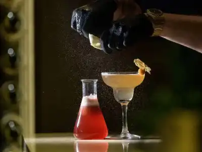 Mövenpick Geneva - 35