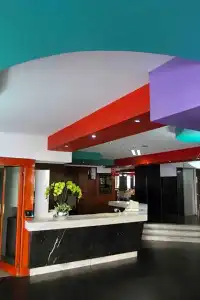 Universo Guadalajara - 46