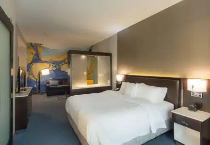 SpringHill Suites by Marriott Fort Worth Fossil Creek - 48