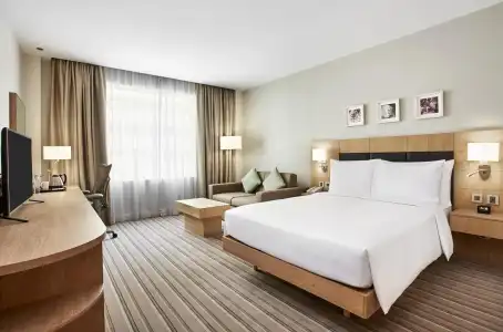 Hilton Garden Inn Dubai, Mall Avenue - 2