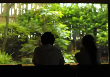 Maple Arima - 33