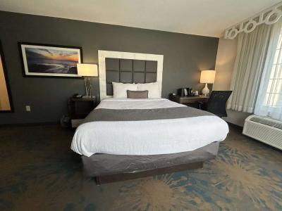 Best Western Erie Inn & Suites - 33