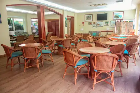 Dwo Les Palmeres - 25