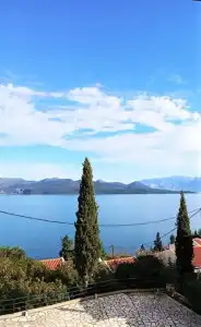 Vergina Star - 119