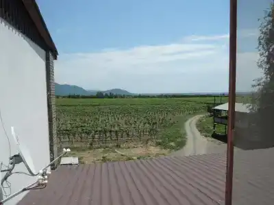 Shaloshvili's Cellar - 17